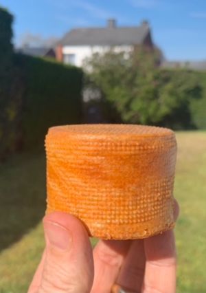 Foto di Choux Geometrici il Bignè Cilindro