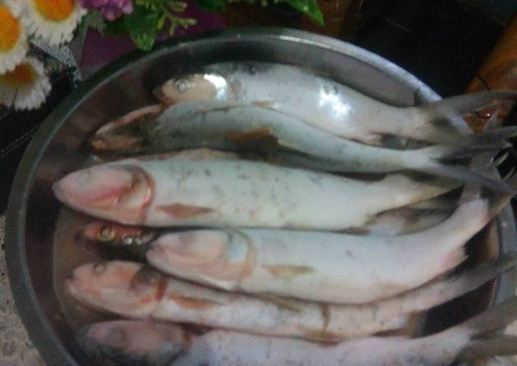 Ikan Bandeng fresh bumbu ala Kanjeng Mami