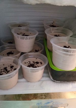 Foto resep Ice cream coklat