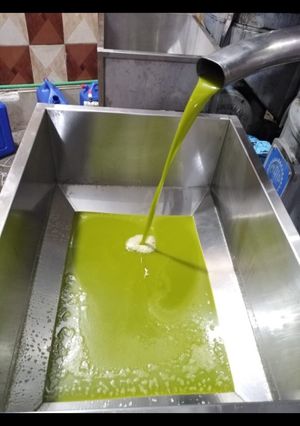 صورة لوصفة معصرة زيت الزيتون