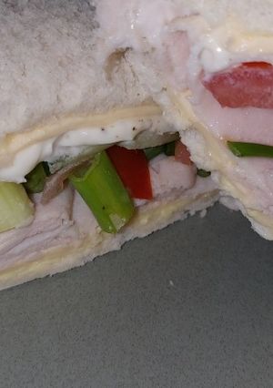 A picture of My turkey salad sambo.