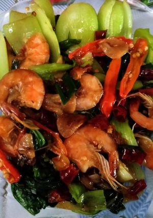 Foto resep Tumis pokcoy udang saus tiram