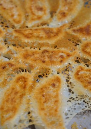 Foto resep Tofu gyoza