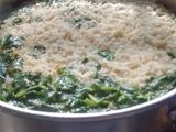 Arroz blanco con cilantro