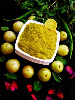 रोस्टेड आंवले की चटनी (roasted Amla ki chutney recipe in Hindi) रेसिपी मुख्य फोटो