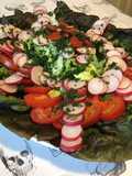 Salade de laitue rougette aux tomates,radis cerises et persil