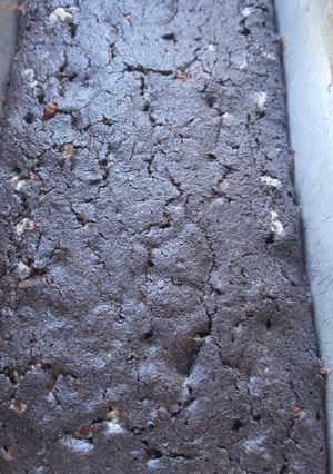 Una foto de Torta oreo