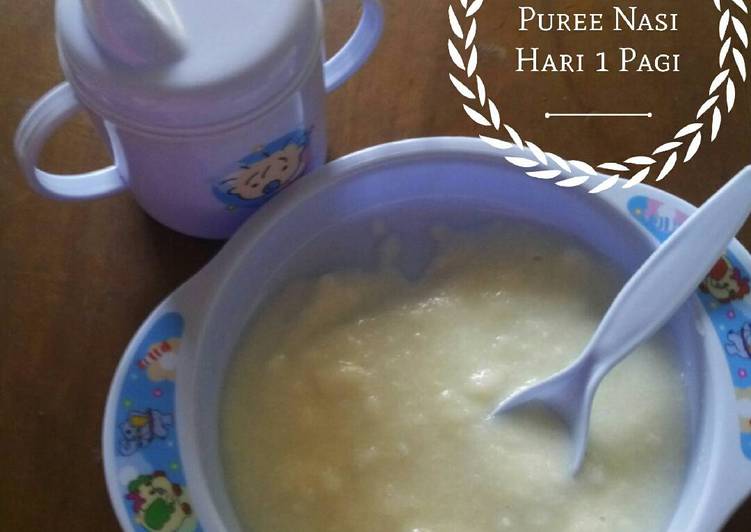 Cara Menyiapkan Puree Nasi atau bubur Beras Putih yang Enak!