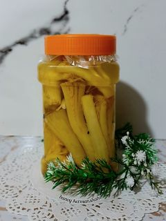 عکسی از دستور ترشی کنگر