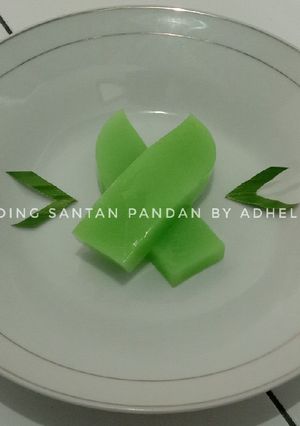 Foto resep Puding Santan Pandan