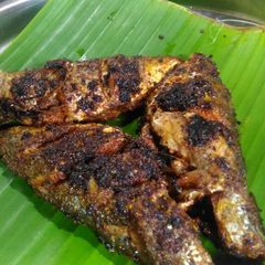 A picture of Bhangada fry.