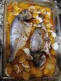 Doradas al Horno