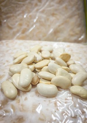 Foto resep Tempe Home Made
