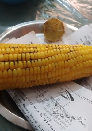 A picture of Masala butta.