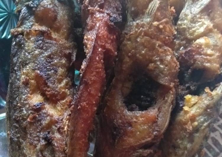 Anti Ribet, Buat Lele Goreng wajib dicoba