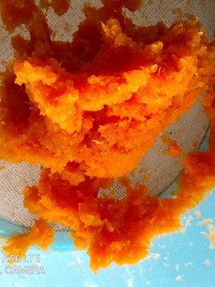 A picture of Carrot Paste.