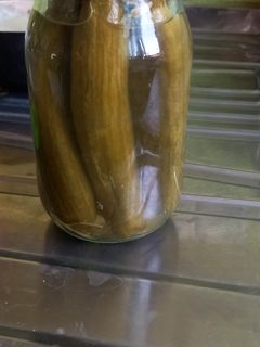 عکسی از دستور خیارشور فوری