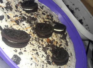 Una foto de Torta helada oreo
