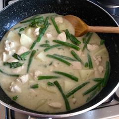 A picture of Thai green chicken curry.