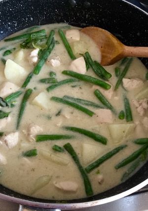 A picture of Thai green chicken curry.