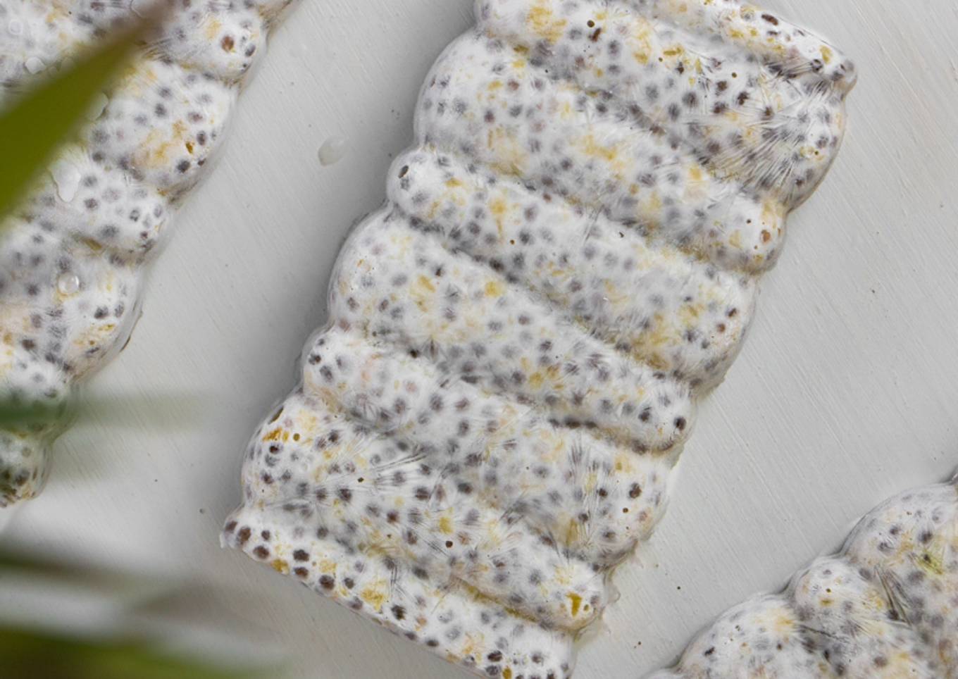 Chia Pineapple Coconut Pudding Popsicle