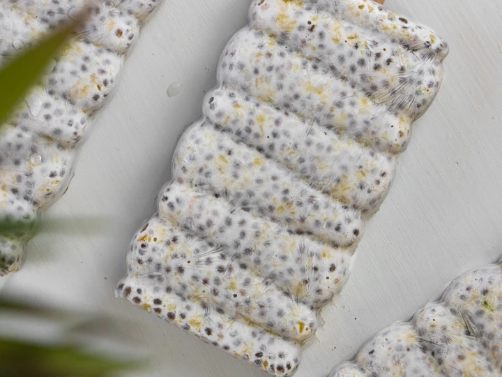 Easy Way Make Chia Pineapple Coconut Pudding Popsicle the So Delicious So Delicious