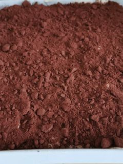 Une photo de Tiramisu