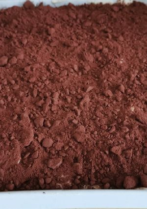 Une photo de Tiramisu