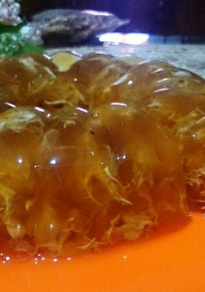 Foto resep Agar serabut Sarang