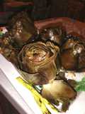 Mammole