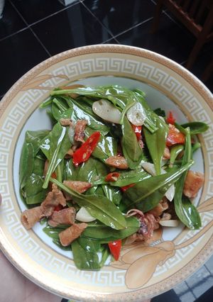 Foto resep Tumis Daun gingseng