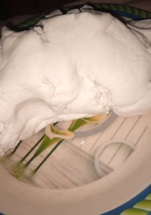 A picture of Fondant.