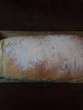 Pan lactal