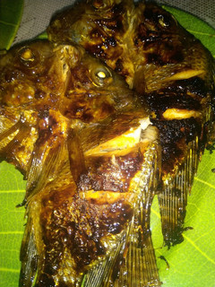 Foto resep Ikan bakar mujair mantap anti gagal