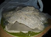 Una foto de milanesa de soya y avena