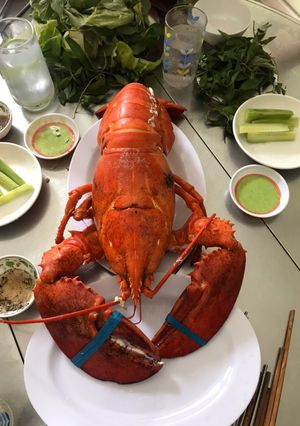Hình của món Tôm hùm hấp bia.