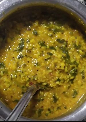 A picture of Dal palak.