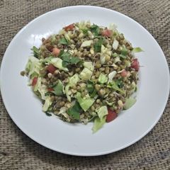 A picture of Sprouted Moong Salad.