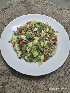A picture of Sprouted Moong Salad.