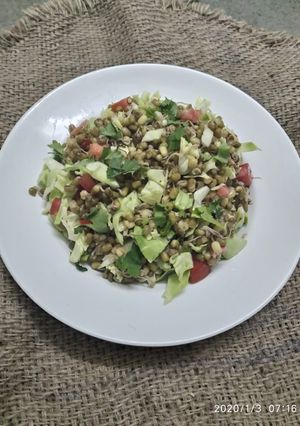 A picture of Sprouted Moong Salad.