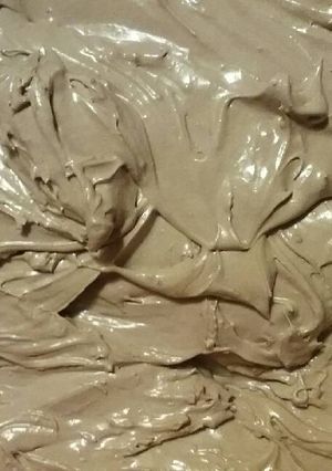 A picture of chocolate ice cream .