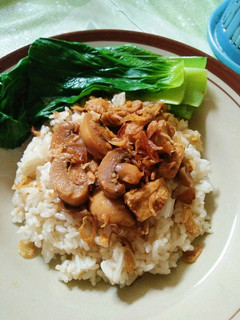 Foto resep Nasi Hainan Ayam Jamur