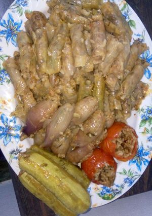 صورة لوصفة محاشي مشكله