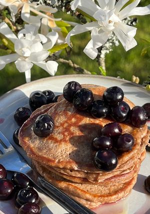 A picture of Protein Pancakes.