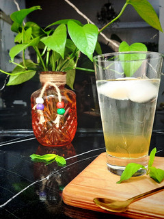 عکسی از دستور شربت نعناع