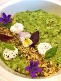 Risotto with Basil Pesto and Burrata