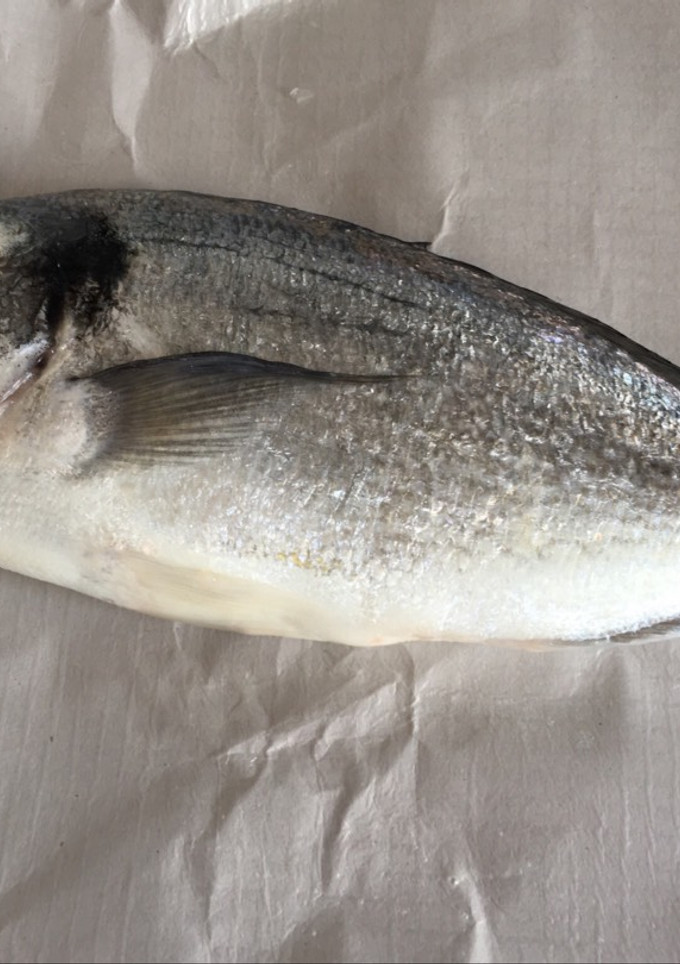 Una foto de Dorada a la sal en microondas