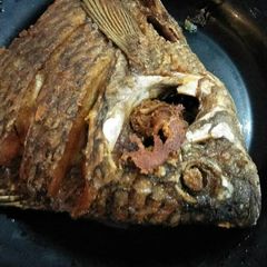 A picture of Fry fish.