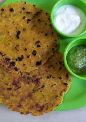 ભાતના થેપલા(bhaat na thepla recipe in Gujarati) રેસીપી મુખ્ય ફોટો