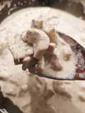 Poulet sauce estragon